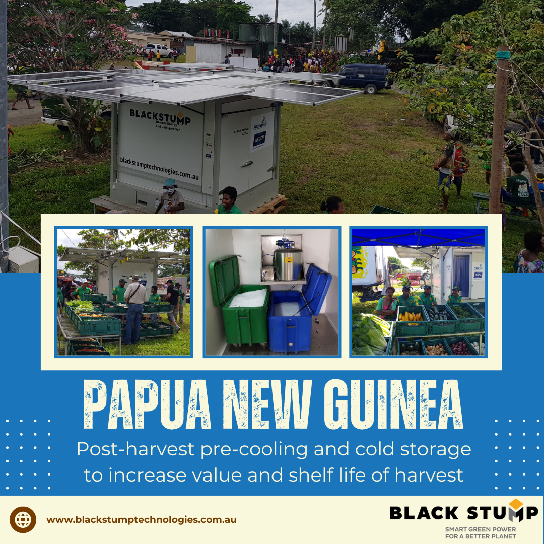 cold chain units in PNG